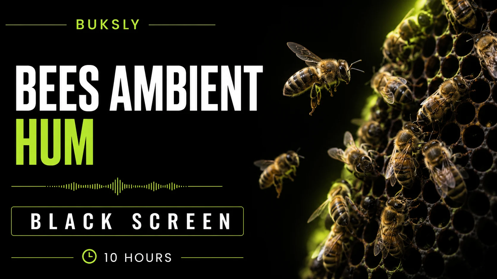 Bees Ambient Hum ambient cover for focus