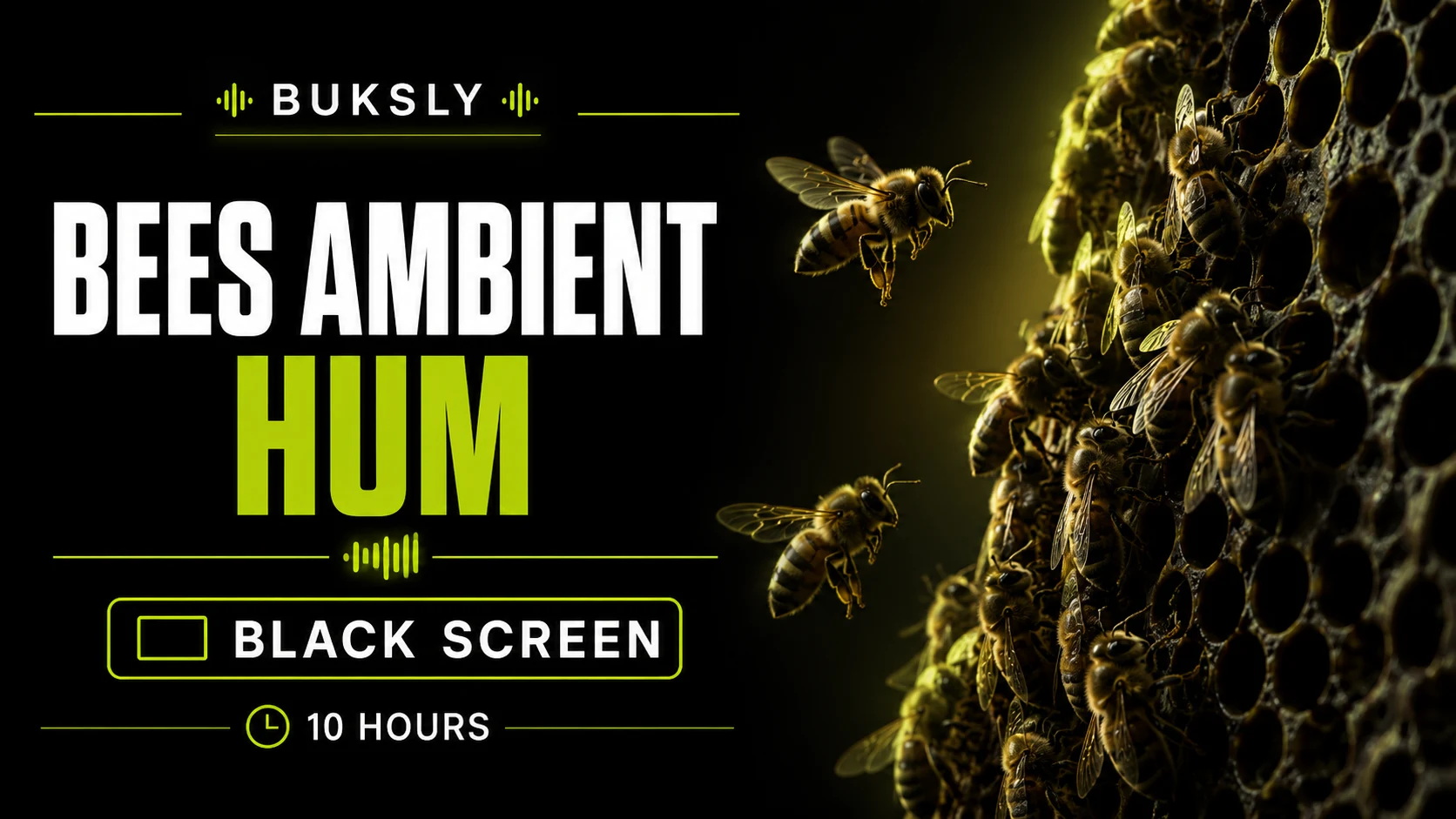 Bees Ambient Hum ambient cover for reading