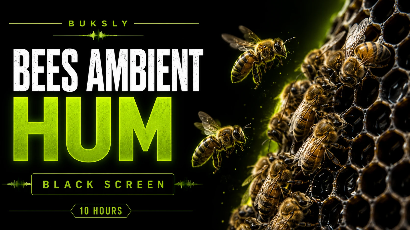 Bees Ambient Hum ambient cover for sound masking