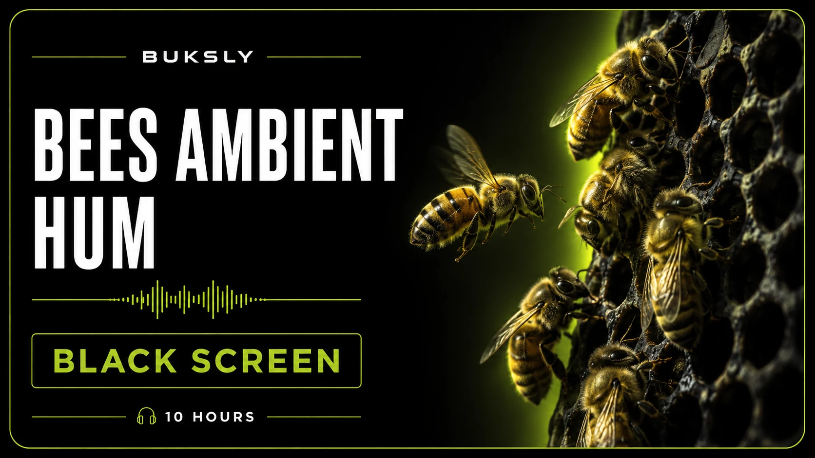 Bees Ambient Hum ambient cover for work